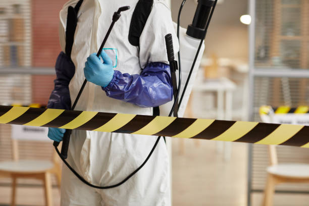 Professional Sewage Cleanup technician working in Fishers, IN